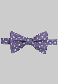 Men's Jos. A. Bank Marguerite Floral Pre-Tied Bow Tie at Jos. A. Bank, Purple,