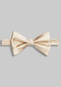 Men's Jos. A. Bank Solid Pre-Tied Big Bow Tie at Jos. A. Bank, Champagne/Gold,