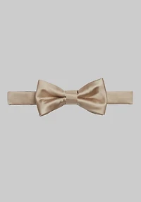 Men's Jos. A. Bank Pre-Tied Bow Tie at Jos. A. Bank, Champagne/Metals,