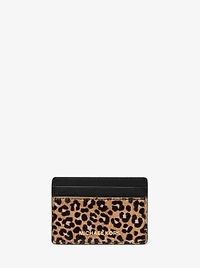 Jet Set Small Leopard Print Calf Hair Card Case