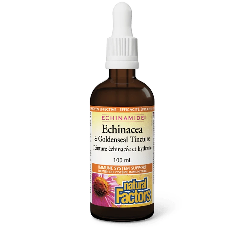 NATURAL FACTORS Echinamide Anti-Cold Tincture (100 ml)