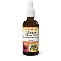 NATURAL FACTORS Echinamide Anti-Cold Tincture  (100 ml)
