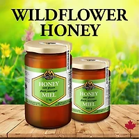 Wildflower Honey