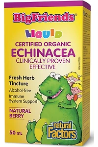 Big Friends - Echinacea Fresh Herb Tincture Alcohol-free (50 ml)