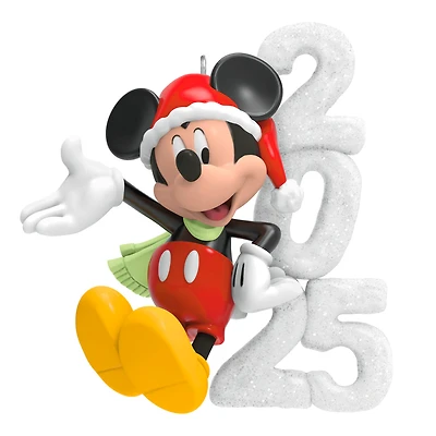 Hallmark Keepsake Christmas Ornament (Disney Mickey Mouse A Year of Di