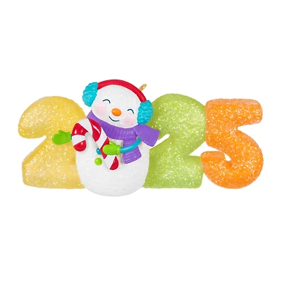Hallmark Keepsake Christmas Ornament (Sweet Decade 2025)