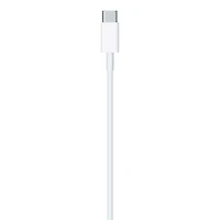 USB-C to Lightning Cable (2 m)
