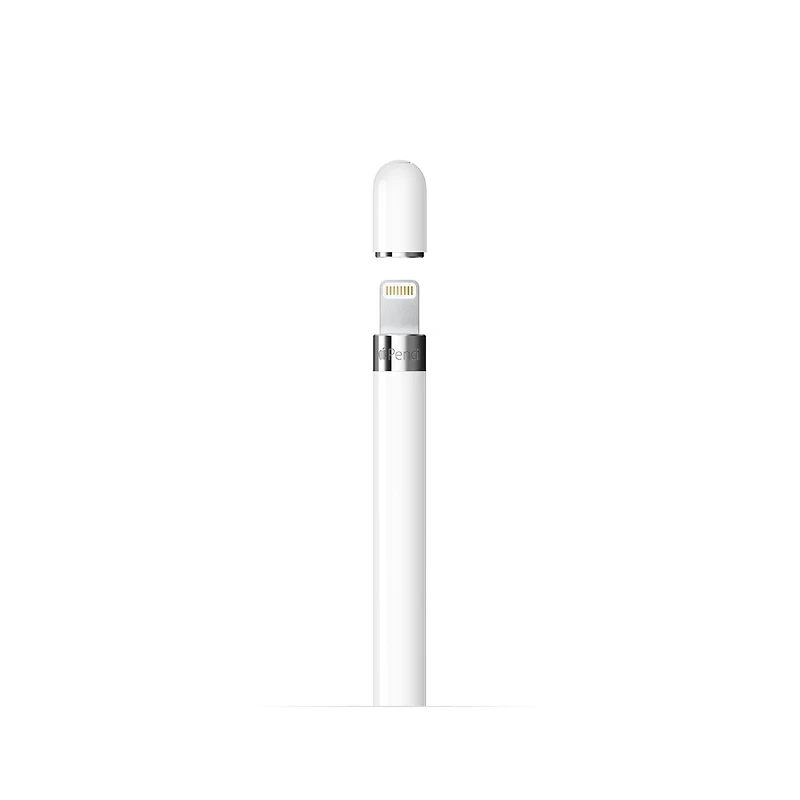 Apple Pencil (1st Generation) with USB-C adapter