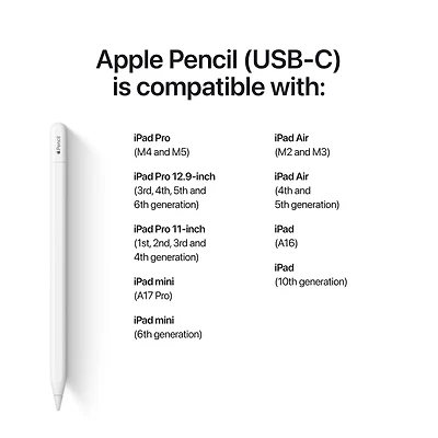 Apple Pencil (USB-C)