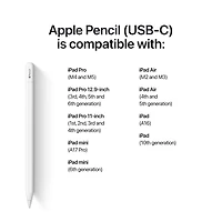 Apple Pencil (USB-C)