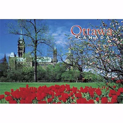 Ottawa Parliament & Tulips- Postcard