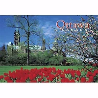 Ottawa Parliament & Tulips- Postcard