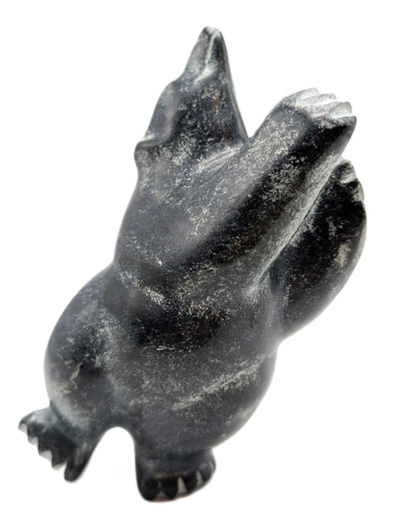 "Dancing Bear" - Samonie Shaa