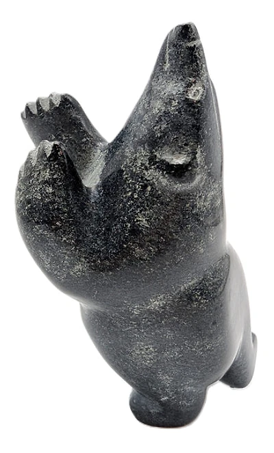 "Dancing Bear" - Samonie Shaa