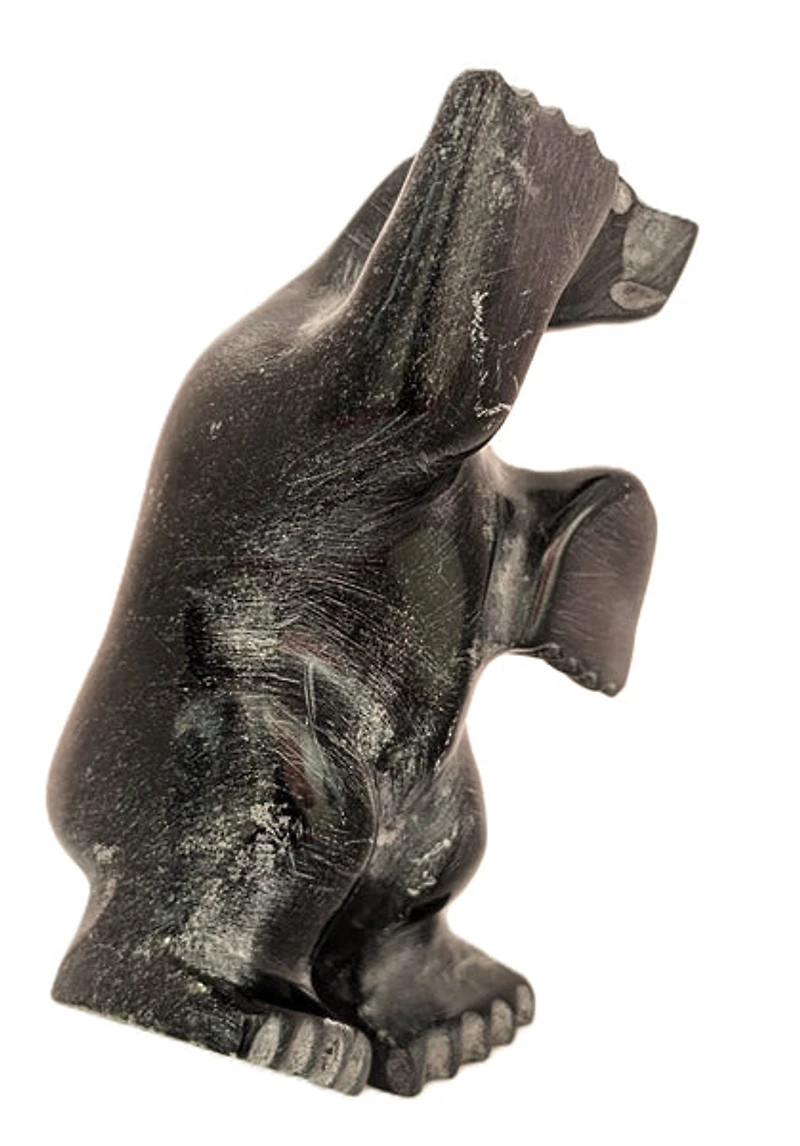 "Dancing Bear" - Kelly Etidloie