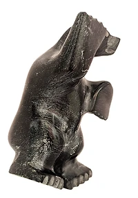 "Dancing Bear" - Kelly Etidloie