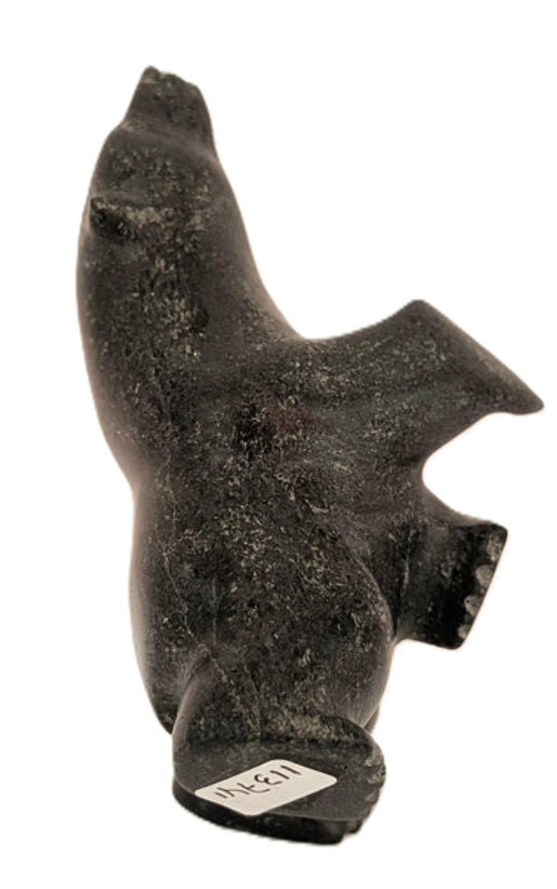 "Dancing Bear" - Killiktee Killiktee