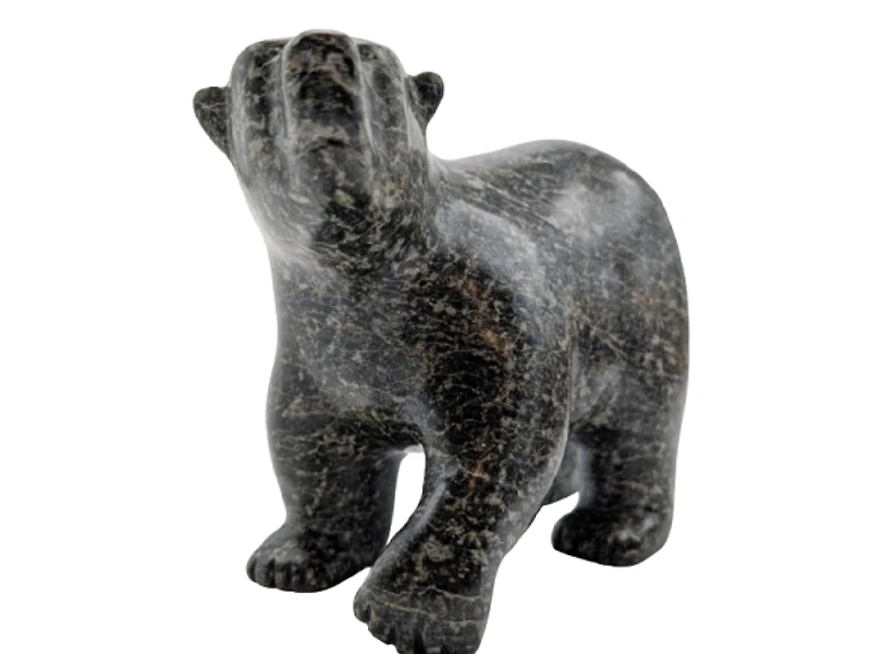 Walking Bear