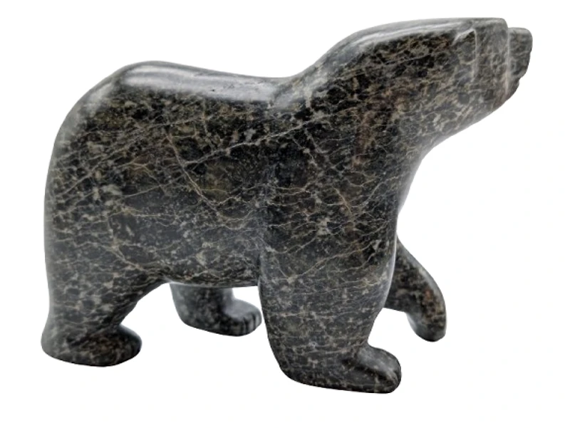 Walking Bear