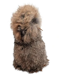 Brown Sealskin Ookpik (Owl