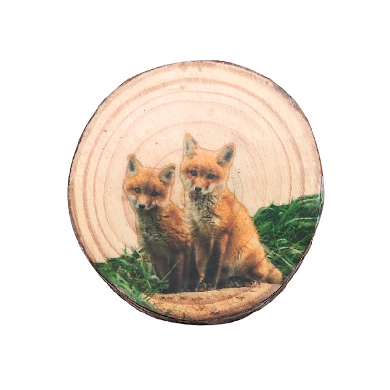 Wooden Magnet - Foxes