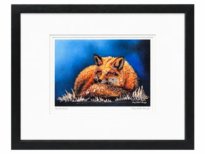 "Boreal Scout" - Amy Keller-Rempp