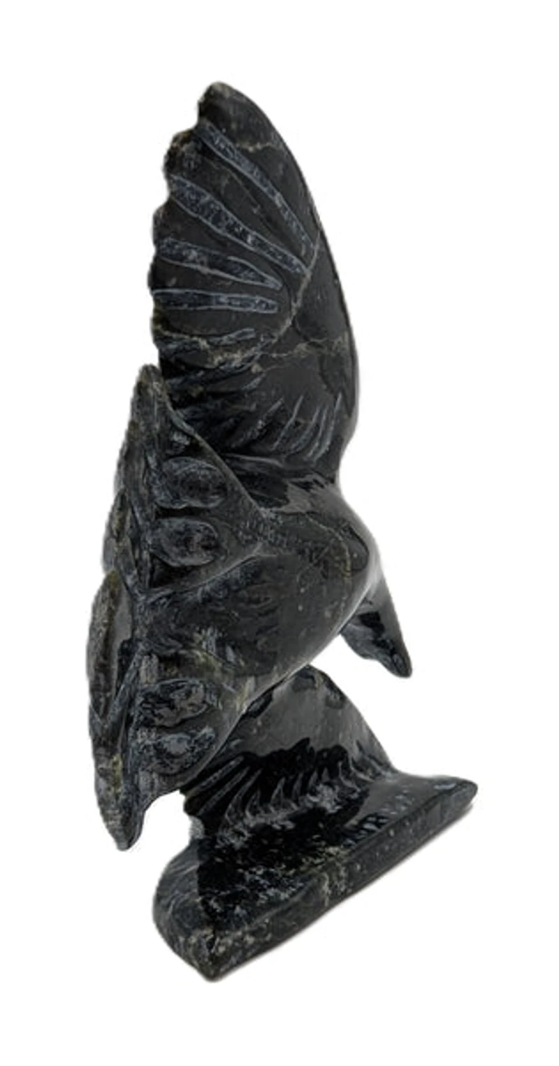"Bird In Flight" - Kelly Etidloie