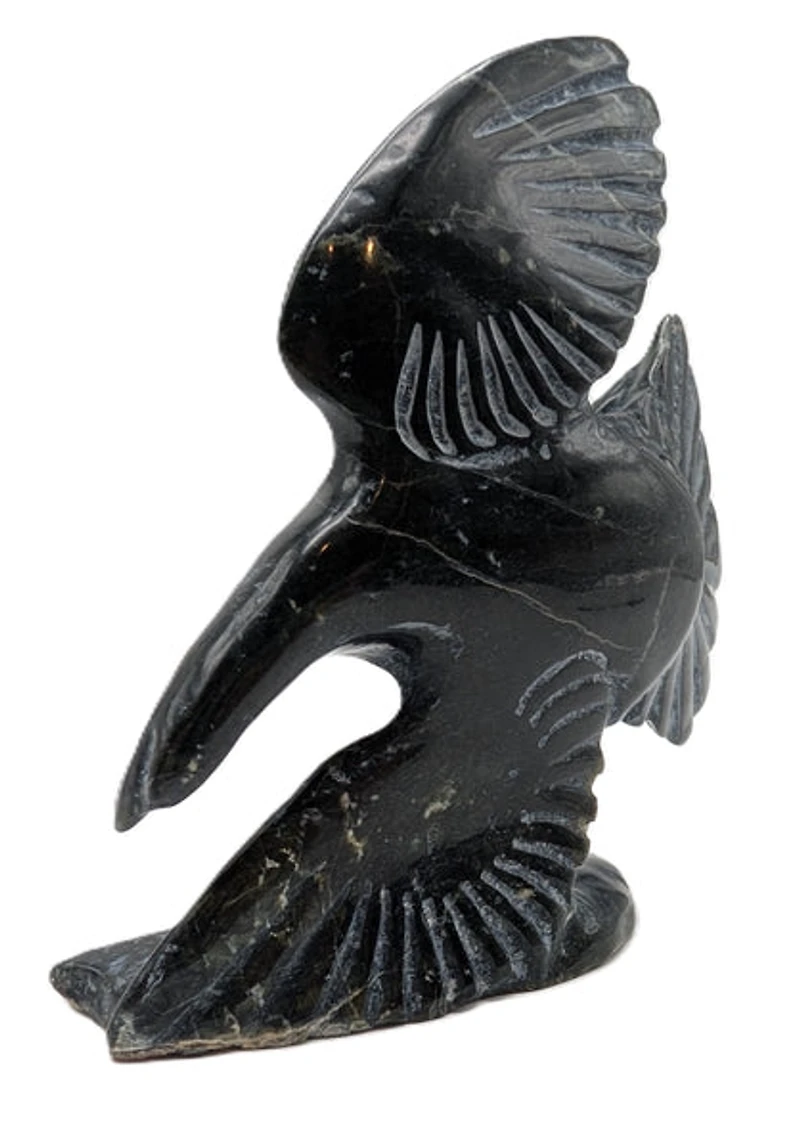 "Bird In Flight" - Kelly Etidloie