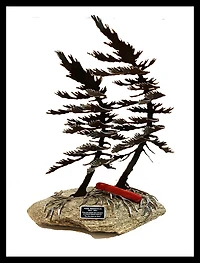 Engraved Plate for Windswept Pine Sculpture