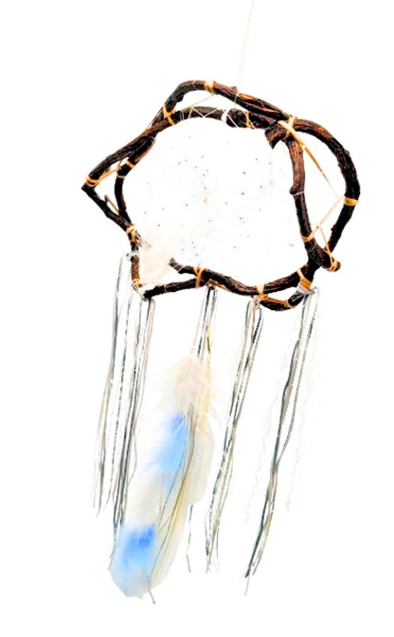 12" Dream Catcher - Season Twig Winter