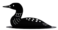 Loon