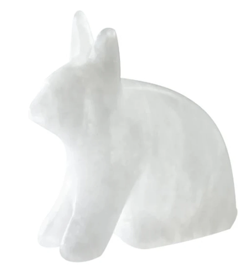 Arctic Hare Carving Kit