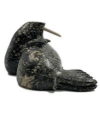 "Walrus" - Kelly Etidloie