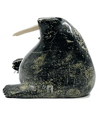"Walrus" - Kelly Etidloie