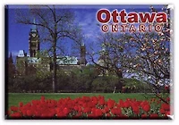 Canadian Parliament & Tulips - Photo Magnet