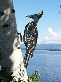 Woodpecker - Mountable