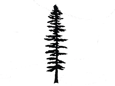 Sitka Tree - Wall Hanging
