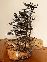 Cathy Mark - Wood Sculpture