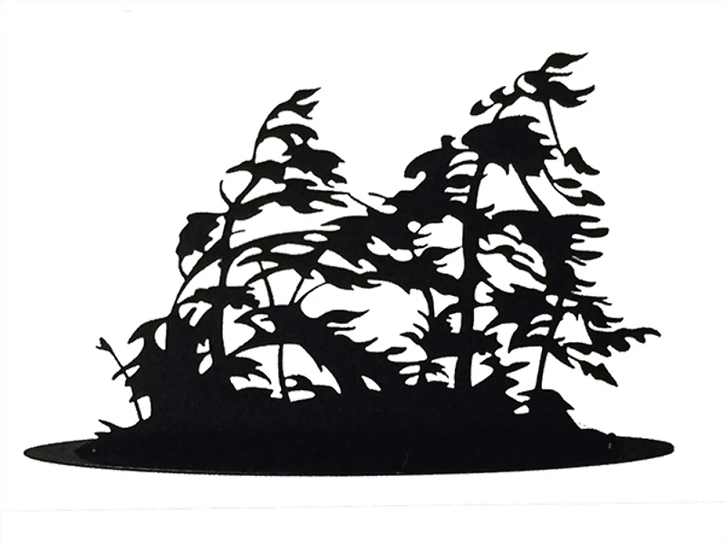 Georgian Bay Windswept Island - Standing