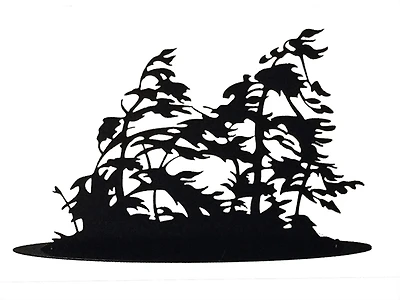 Georgian Bay Windswept Island - Standing