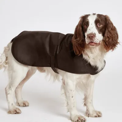 Barbour® Waxed Cotton Dog Jacket Olive Size Medium