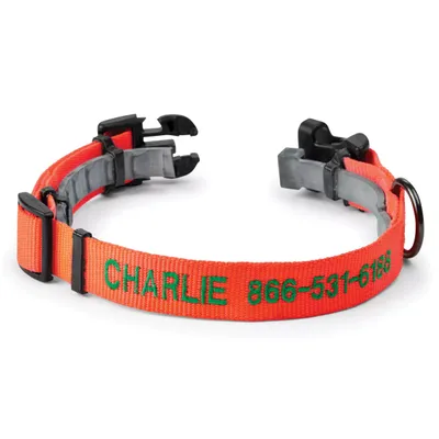 Conceal-a-Collar® Personalized Flea and Tick Collar Blaze Orange Size Small Nylon Orvis
