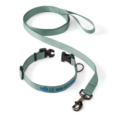 Personalized Adjustable Dog Collar with Leash Wasabi Size Xs Orvis