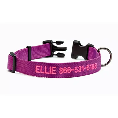Personalized Side-Release Buckle Dog Collar Orchid Size XS Nylon Orvis