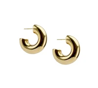 NINA CHUNKY HOOPS