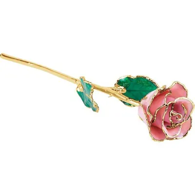 24K Gold Dipped Lacquered Pink Pearl Genuine Rose