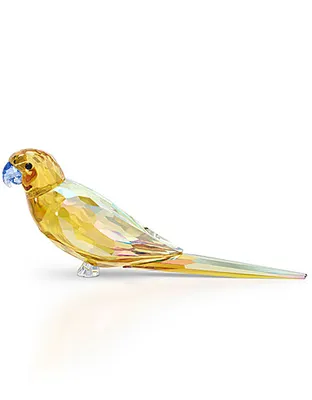 Swarovski Jungle Beats: Yellow Parakeet - 5619217