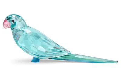 Swarovski Jungle Beats: Blue Parakeet - 5574519