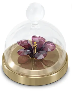 Swarovski Garden Tales: Bell Jar Hibiscus - 5619224