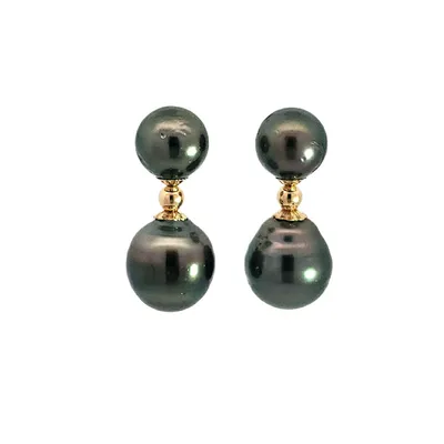 14K Yellow Gold 10-13mm Tahitian Pearl Dangle Earring